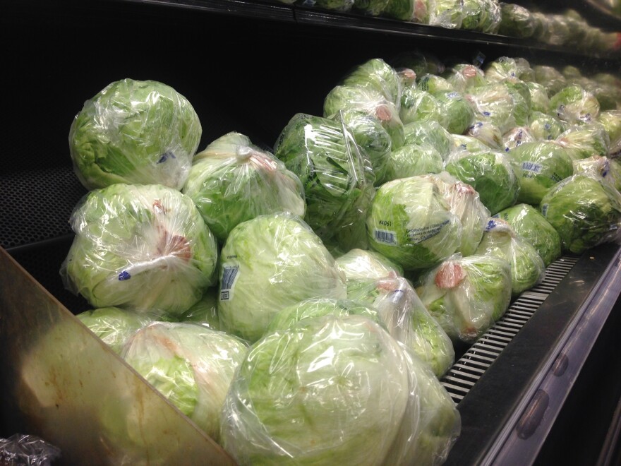 Farm Fresh Organic Dried Green Cabbage - Medium (500g)