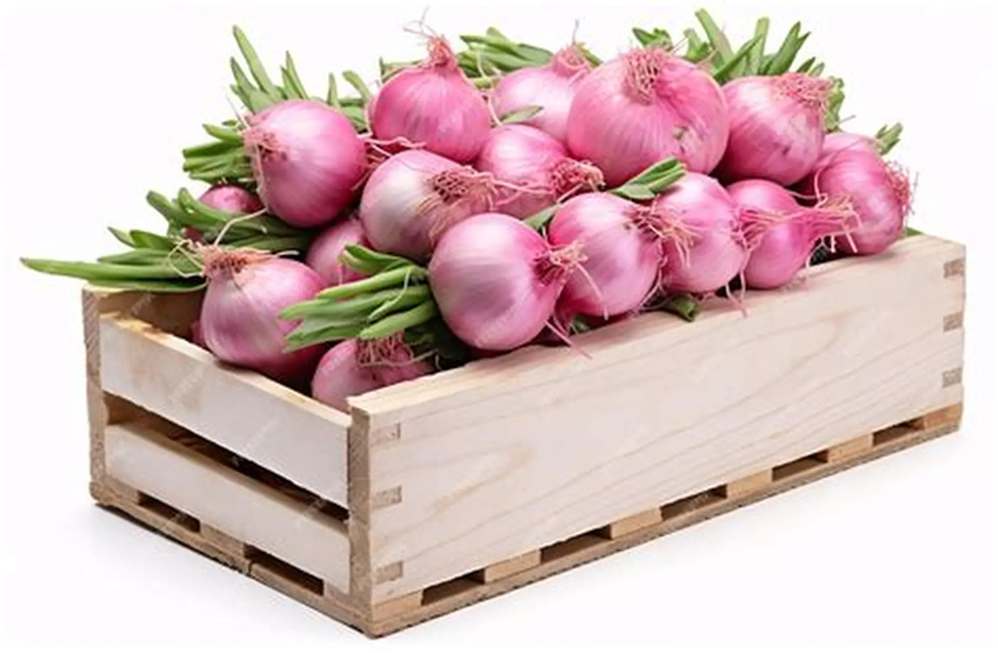 Nature's Best Organic Premium Ripe Red Onions - Large (2kg) - Box