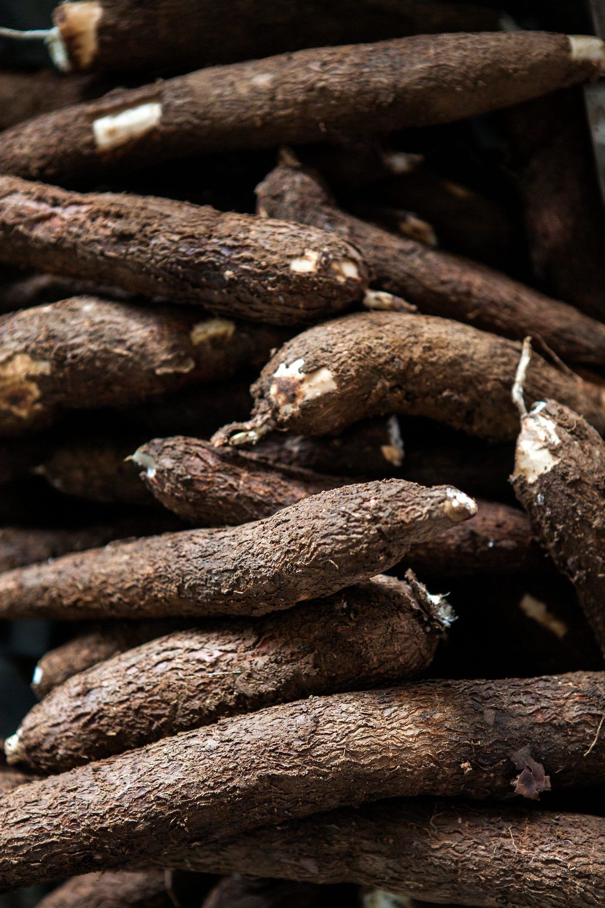 Harvest Direct Grade A Premium Fresh Cassava - Large (1kg)