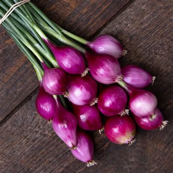 Premium Fresh Organic Ready to Use Red Onions - Small (500g) - Pack