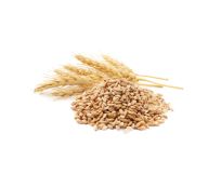 Grade B Pearl Barley - Small (250g)