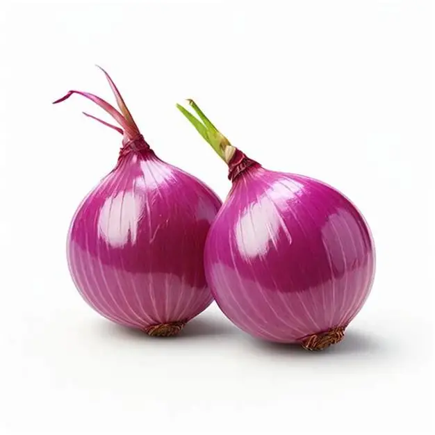 Organic Farm Grade B Premium Fresh Red Onions - Small (500g) - Bulk