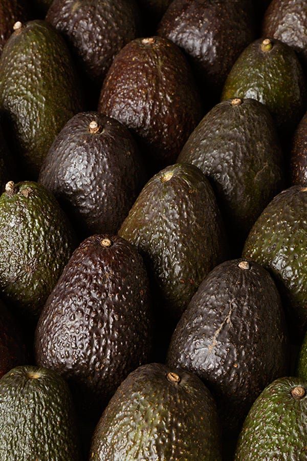 Premium Fresh Grade B Organic Avocado - Small (500g) - Box