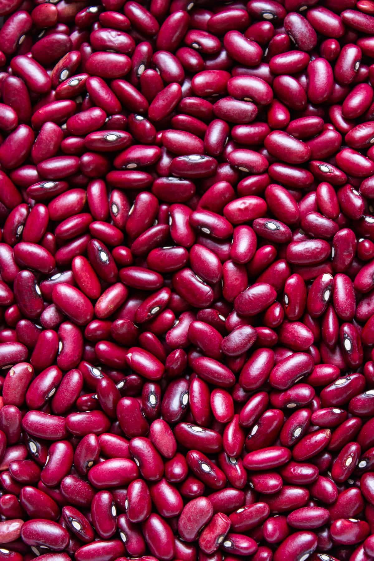 Harvest Direct Organic Organic Red Kidney Beans - Large (1kg)