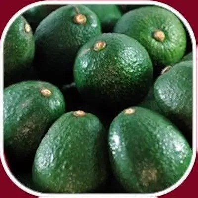 Organic Valley Organic Premium Fresh Avocado - Small (500g) - Bulk