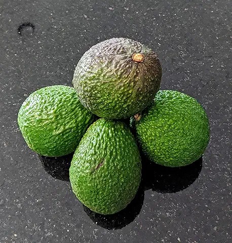 Tropical Fresh Grade B Premium Fresh Avocado - Small (500g) - Pack