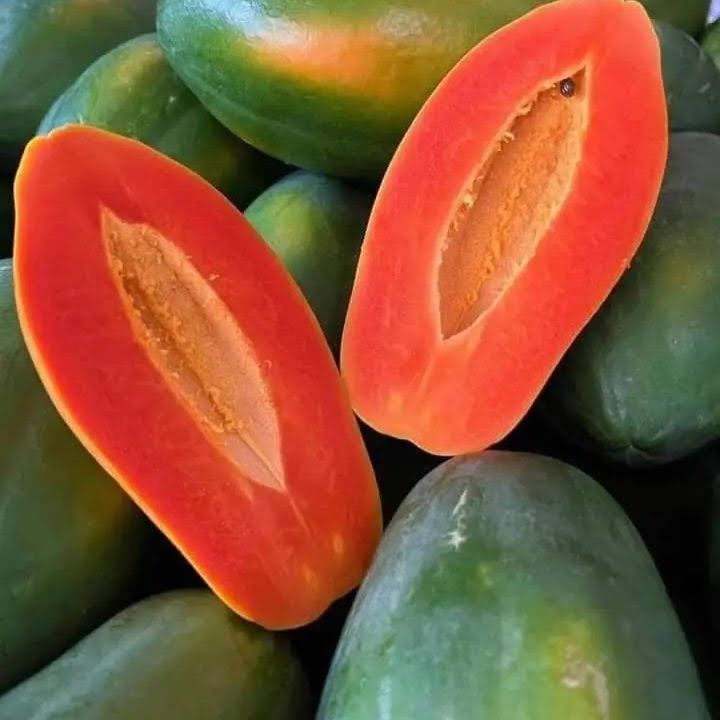 Premium Fresh Grade A Organic Red Pawpaw - Medium (1kg) - Crate