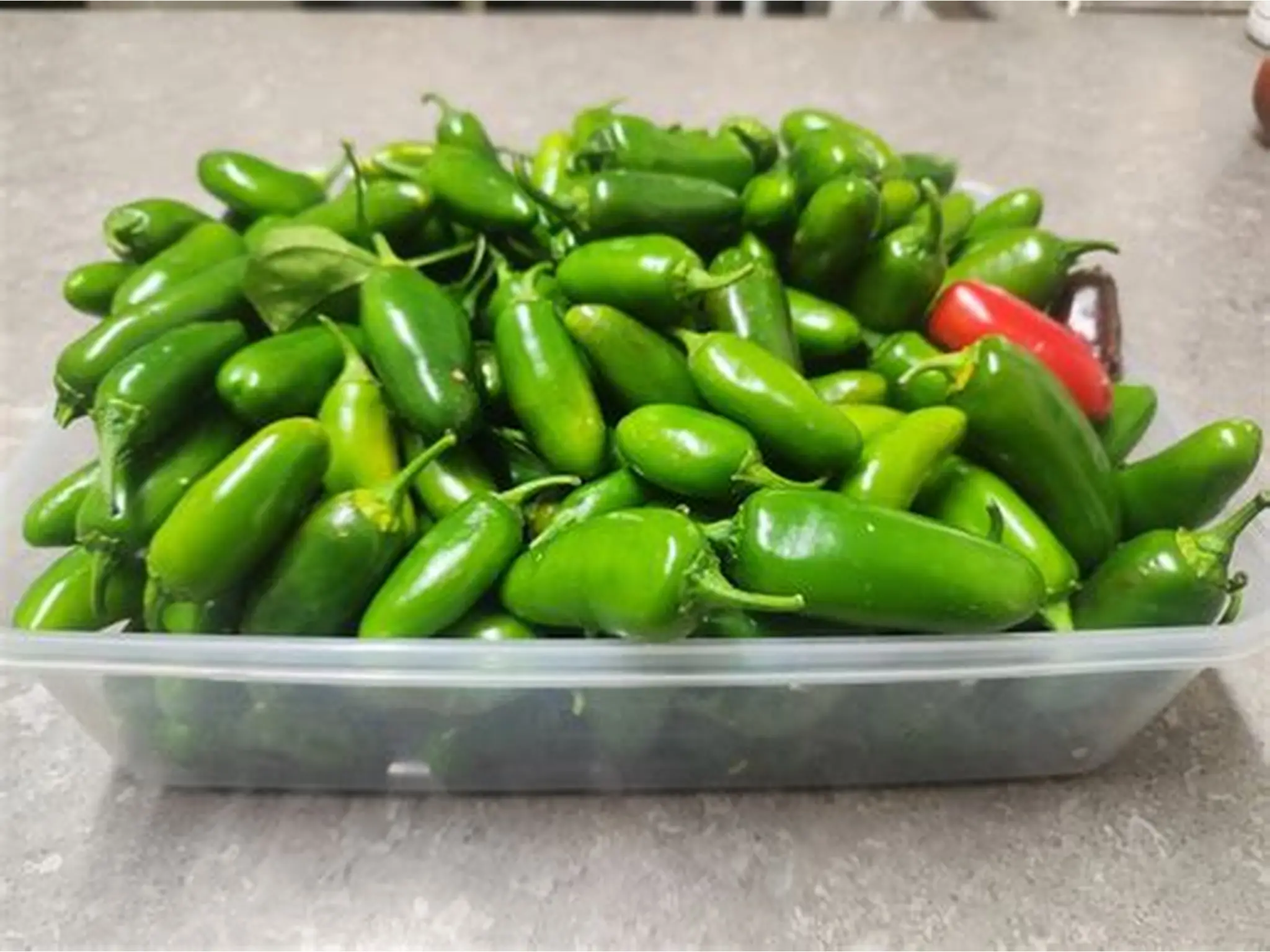 Farm Direct Grade A Organic Green Chillies - Extra Large (2kg) - Pack