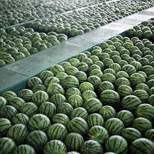 Farm Fresh Grade A Premium Fresh Watermelon - Large (1kg)