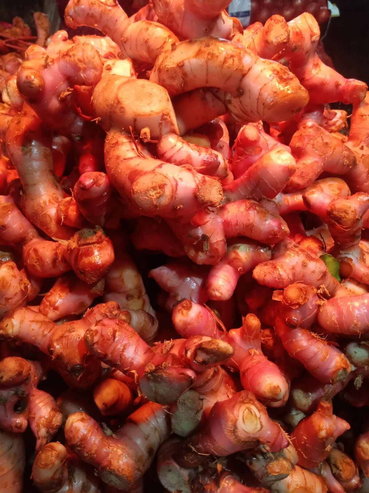 Harvest Direct Organic Premium Fresh Fresh Turmeric - Large (1kg)