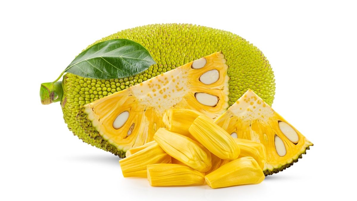 Farm Fresh Grade B Premium Fresh Jackfruit - Extra Large (2kg)