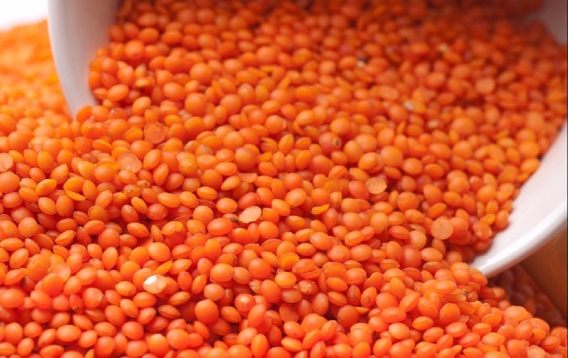 Harvest Direct Organic Premium Dried Red Lentils - Extra Large (2kg)