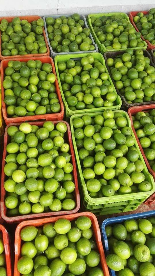 Farm Fresh Organic Organic Fresh Lemons - Small (250g)