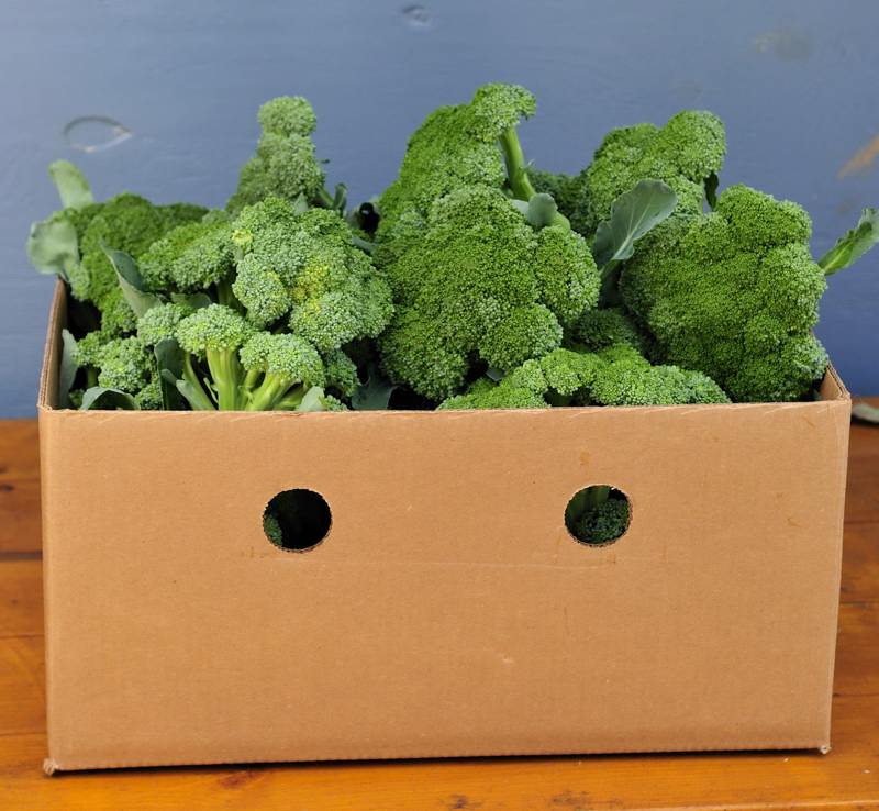 Organic Valley Organic Farm Fresh Fresh Broccoli - Extra Large (2kg)