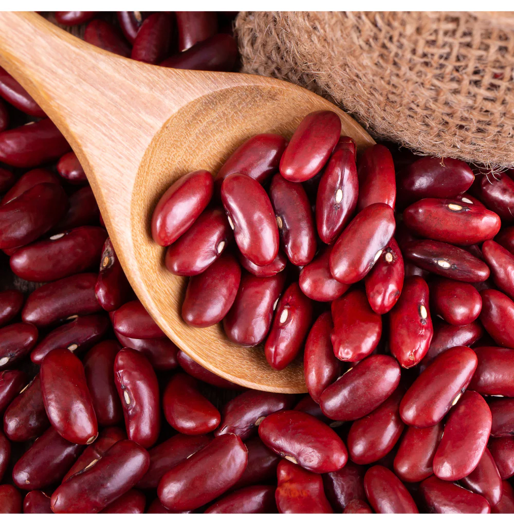 Organic Fresh Red Kidney Beans - Small (250g)