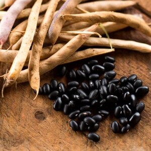 Farm Direct Organic Premium Premium Black Beans - Extra Large (5kg) - Bulk