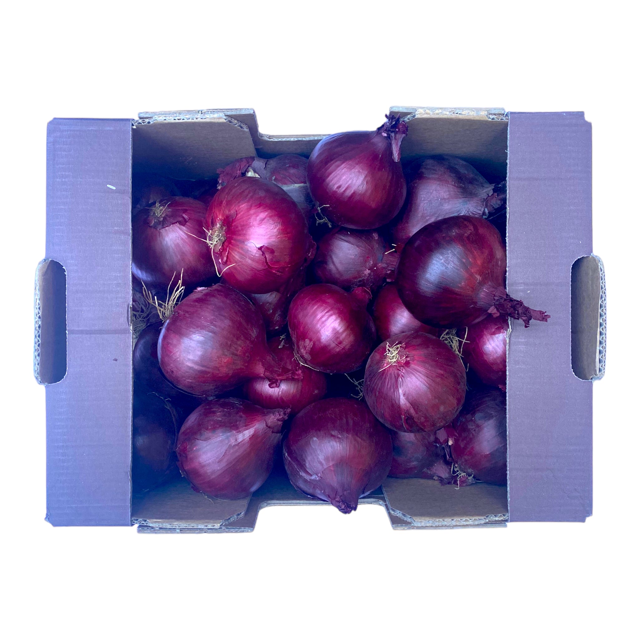 Premium Fresh Grade A Premium Ready to Use Red Onions - Medium (1kg) - Box
