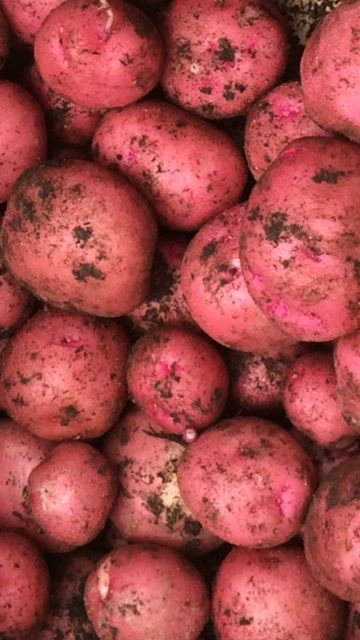 Farm Fresh Organic Premium Dried Fresh Irish Potatoes - Small (250g)