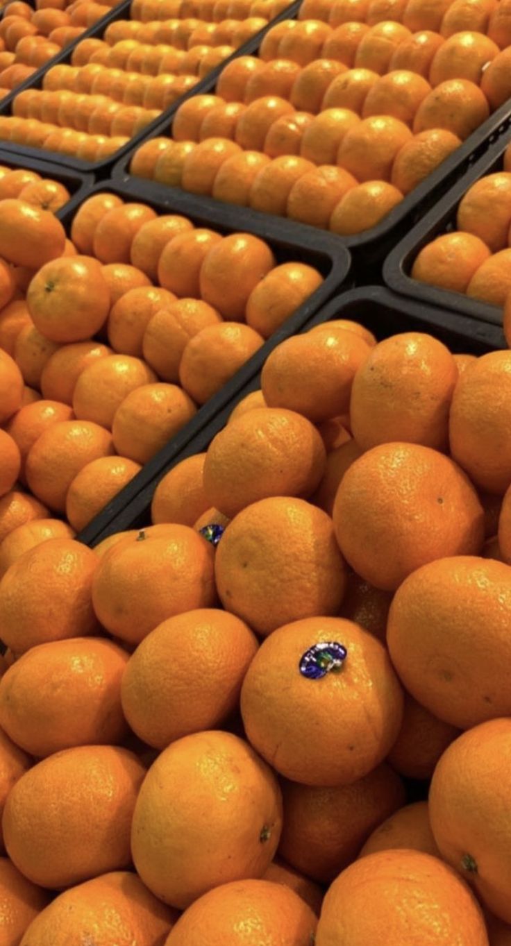 Harvest Direct Grade A Premium Farm Fresh Fresh Oranges - Medium (500g)