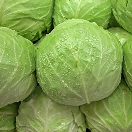 Farm Fresh Organic Premium Organic Green Cabbage - Extra Large (2kg)