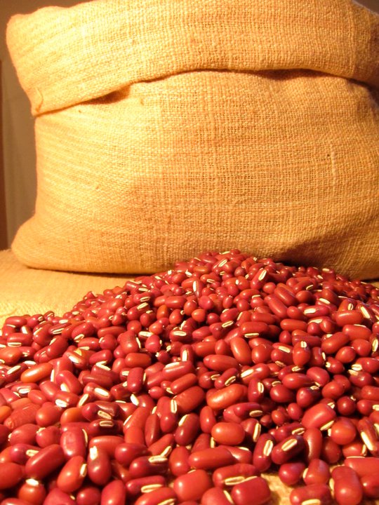Premium Beans Grade B Fresh Red Beans - Jumbo (10kg) - Bulk