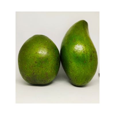 Green Fields Grade A Premium Fresh Avocado - Small (500g) - Bulk