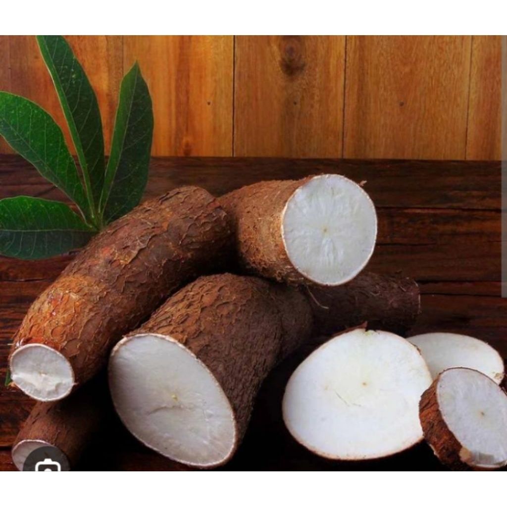 Premium Produce Organic Farm Fresh Fresh Cassava - Medium (500g)