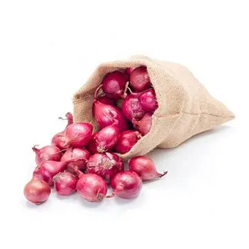 Organic Valley Organic Farm Fresh Red Onions - Small (500g) - Crate