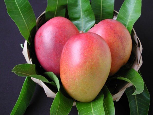 Premium Produce Grade B Farm Fresh Fresh Mangoes - Small (250g)