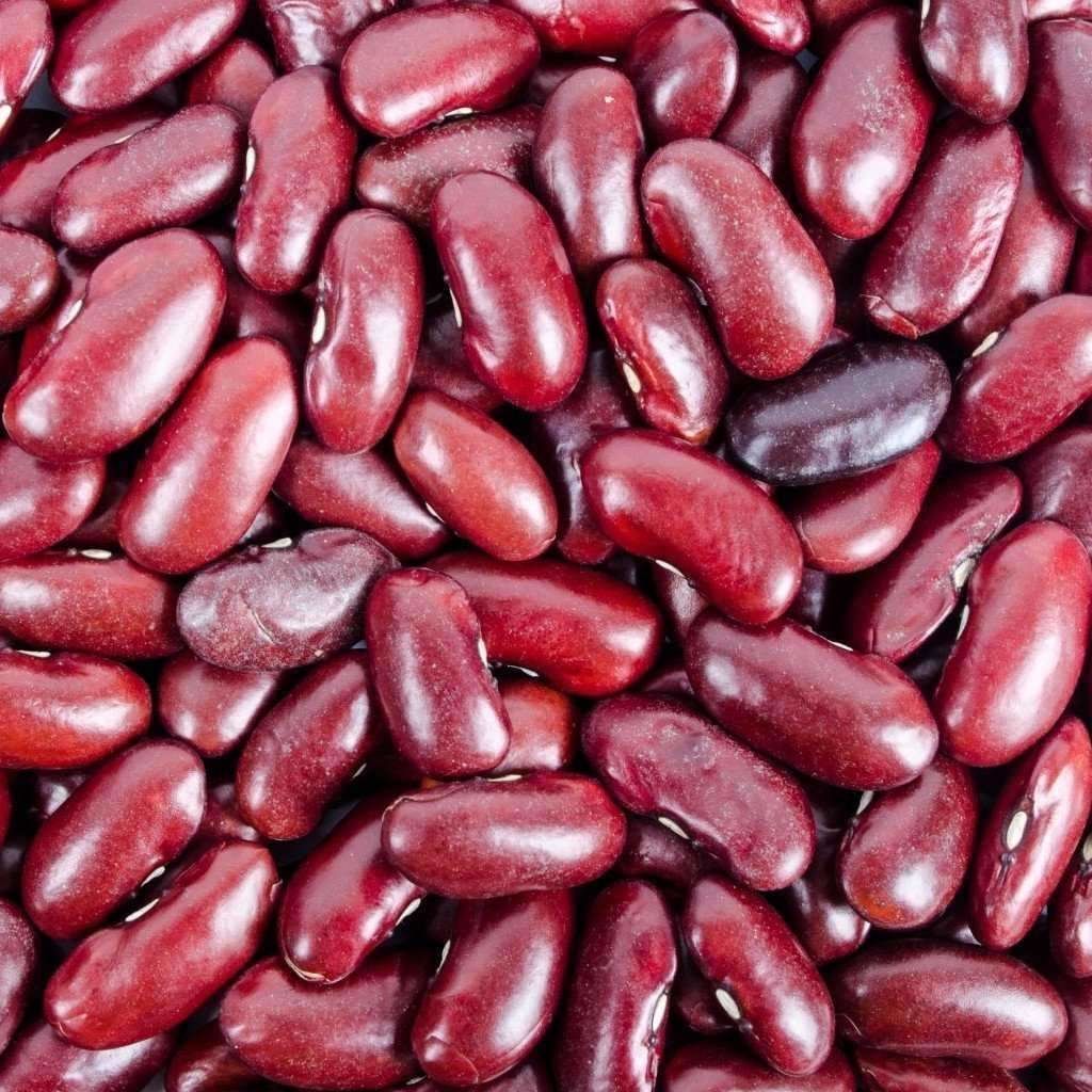 Farm Fresh Grade A Premium Dried Red Kidney Beans - Large (1kg)