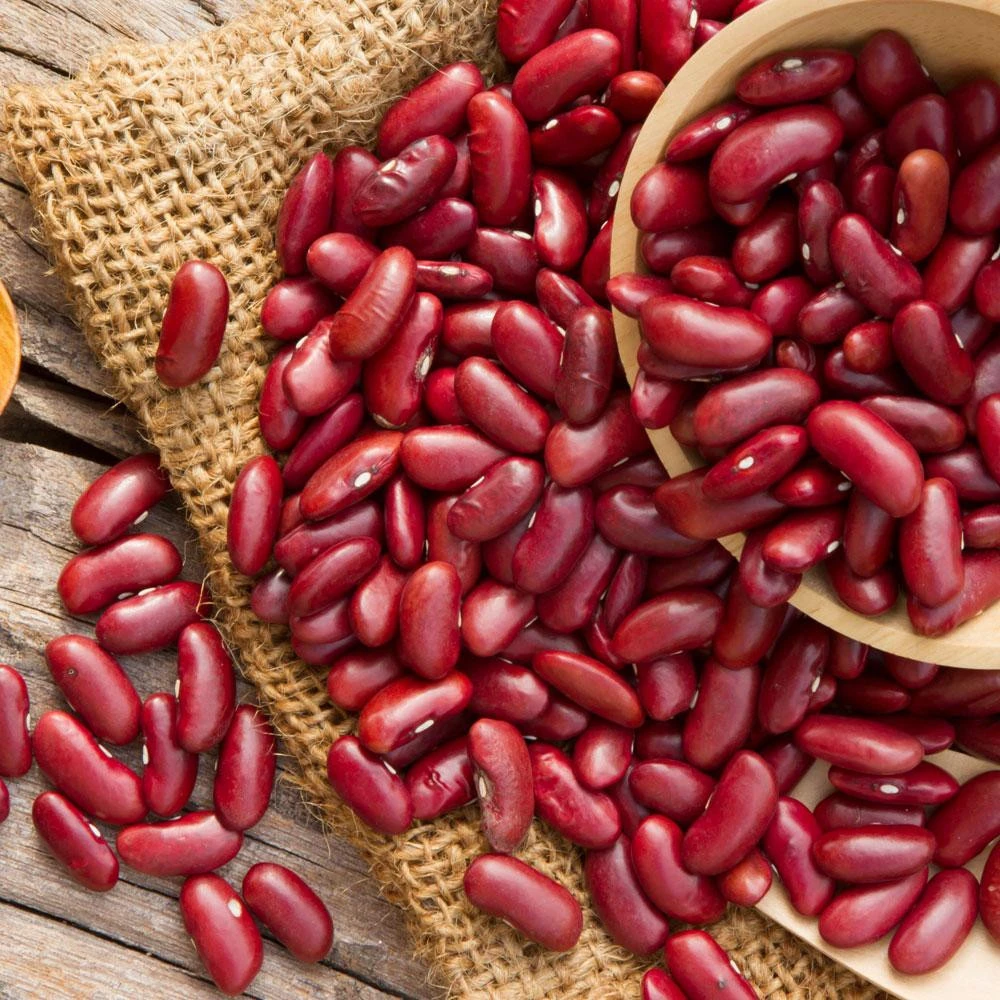 Quality Beans Commercial Grade Farm Fresh Red Beans - Large (2kg) - Bag