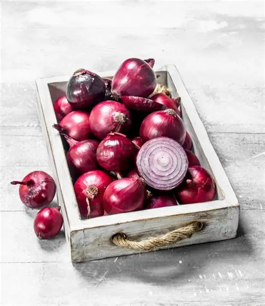 Organic Farm Grade A Fresh Red Onions - Small (500g) - Box