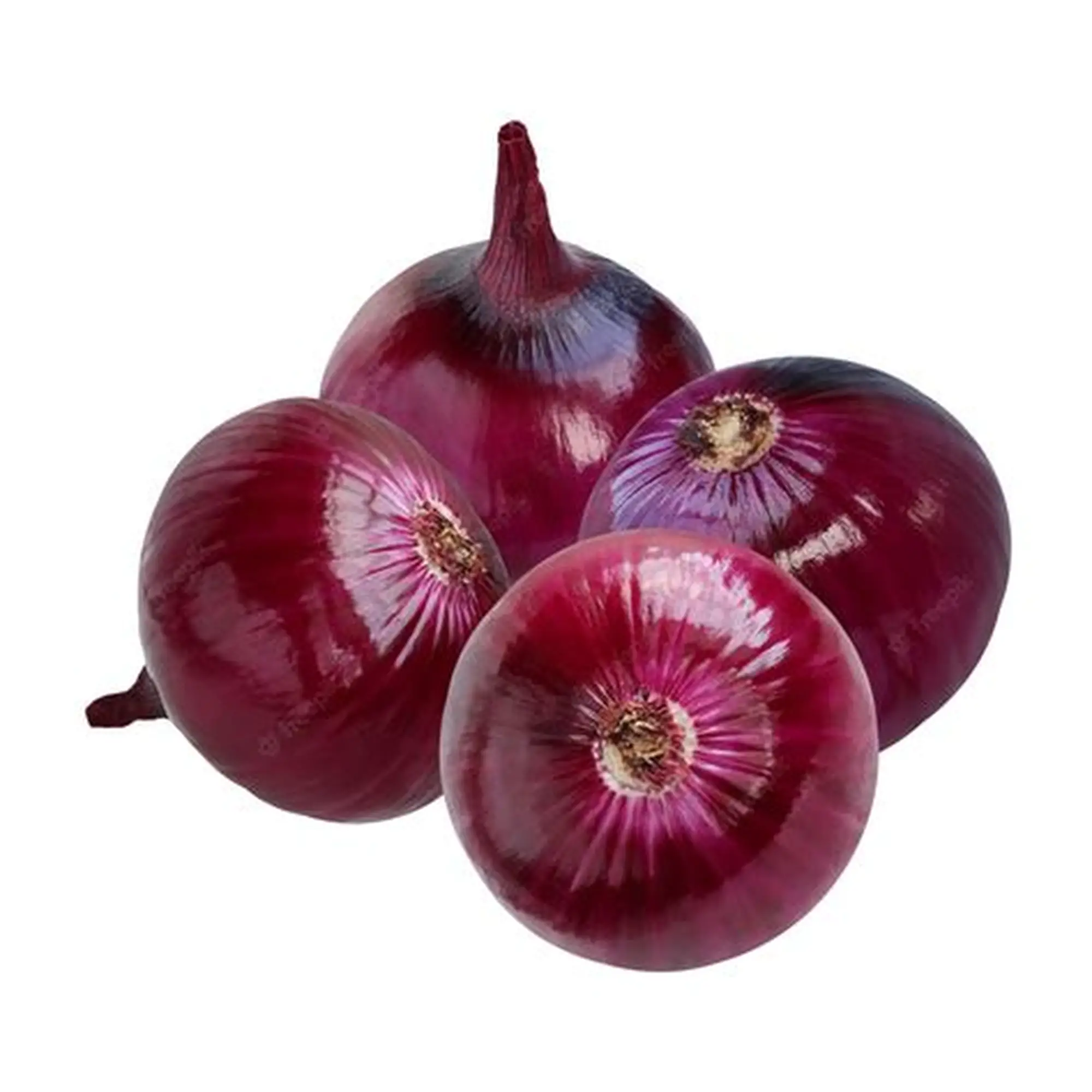 Nature's Best Commercial Grade Ready to Use Red Onions - Small (500g) - Loose