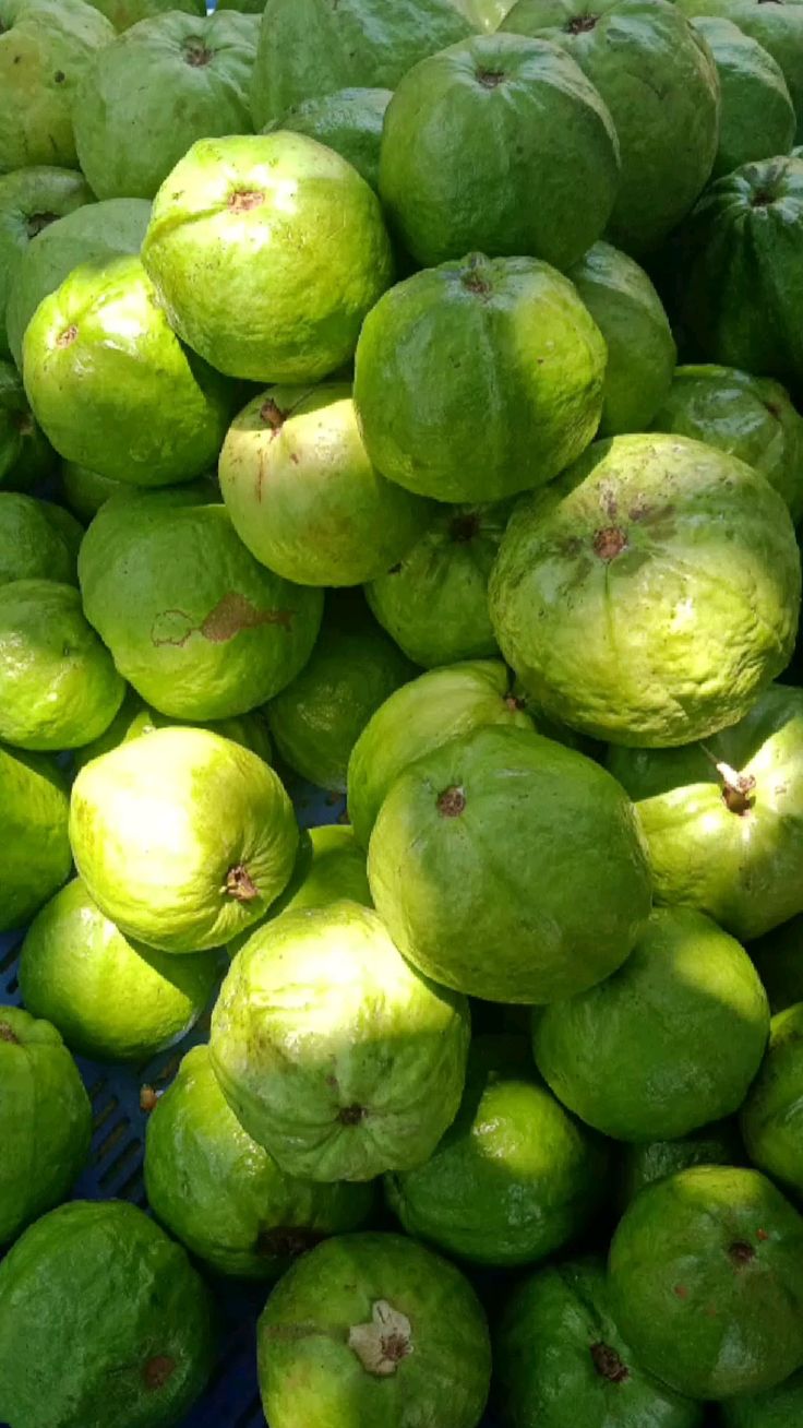 Premium Produce Organic Organic Fresh Guava - Large (1kg)