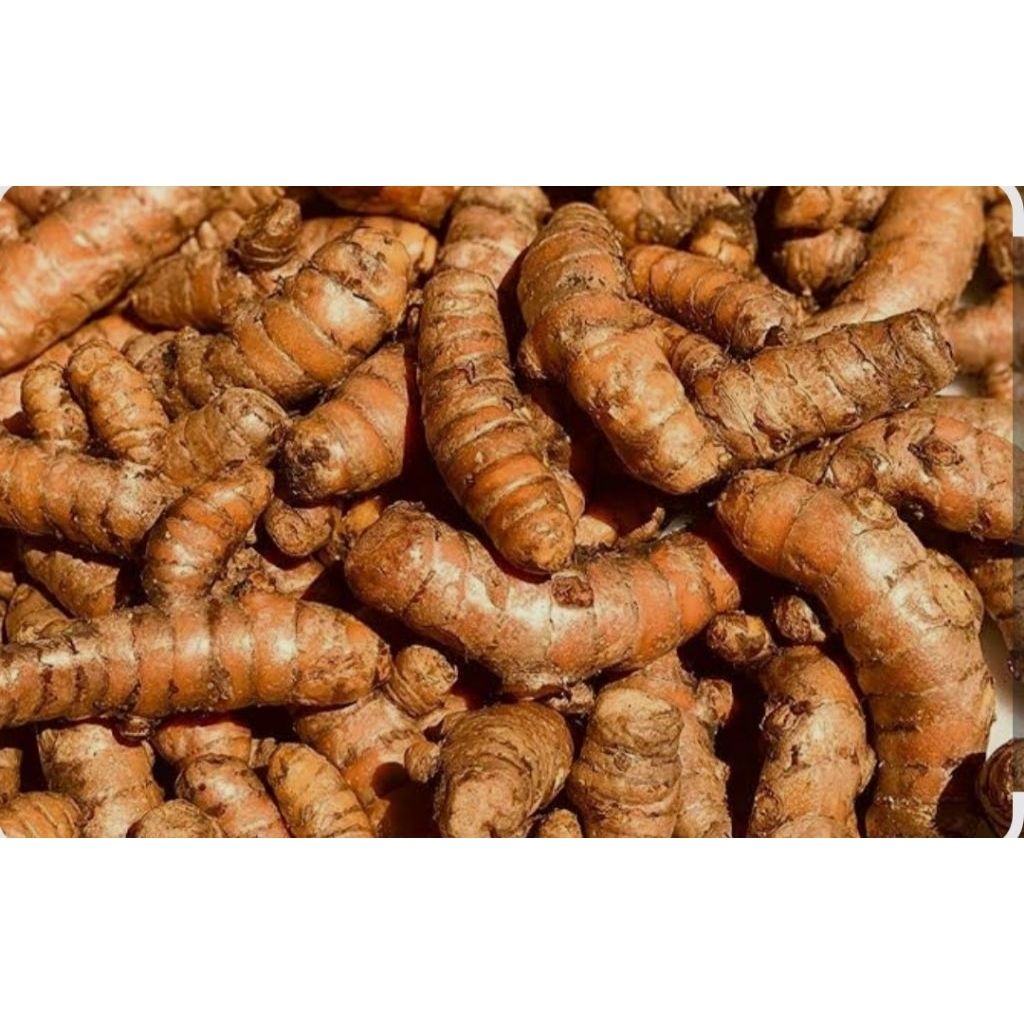 FarmMaster Grade B Dried Fresh Turmeric - Large (1kg)