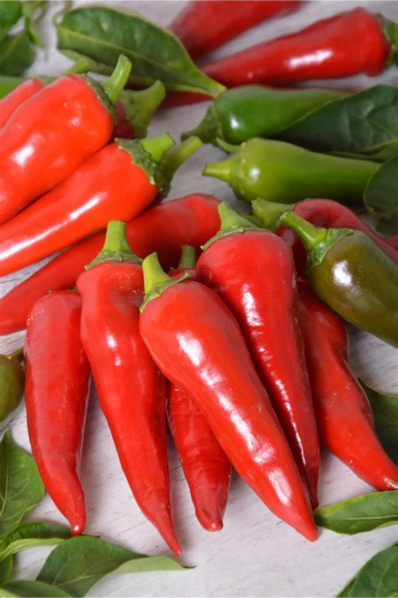 Premium Spice Organic Premium Sun Dried Bird's Eye Chillies - Medium (500g) - Loose