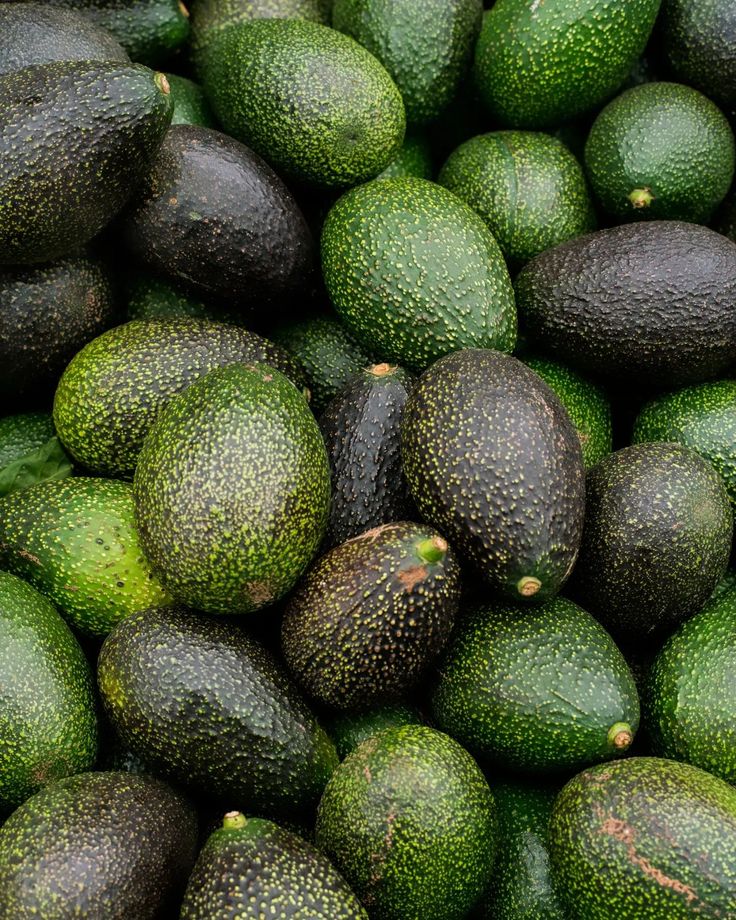 Farm Fresh Grade A Premium Farm Fresh Avocado - Small (500g) - Pack