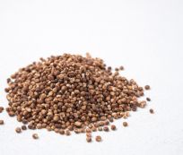 Grade B Organic Whole Sorghum - Large (1kg)