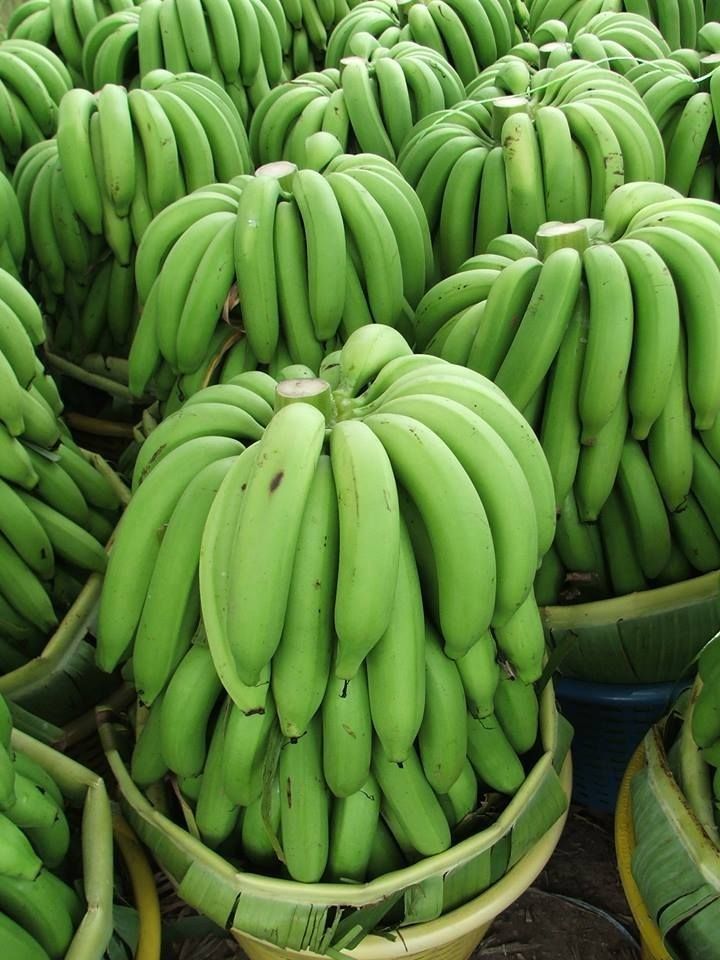 Farm Fresh Grade B Dried Fresh Bananas - Extra Large (2kg)