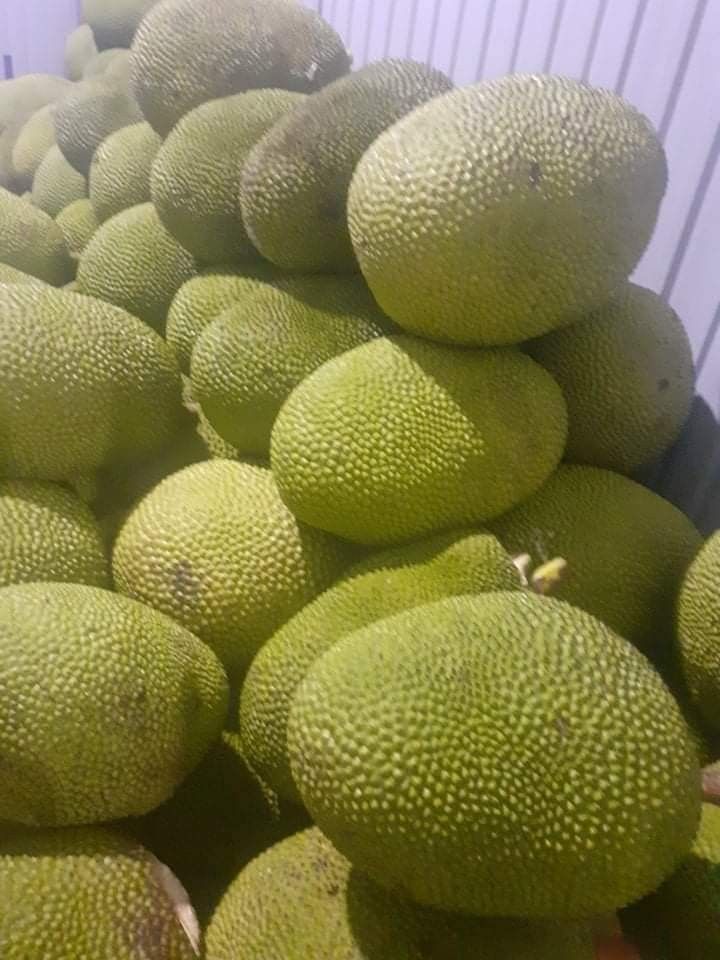 FarmMaster Organic Premium Fresh Jackfruit - Large (1kg)