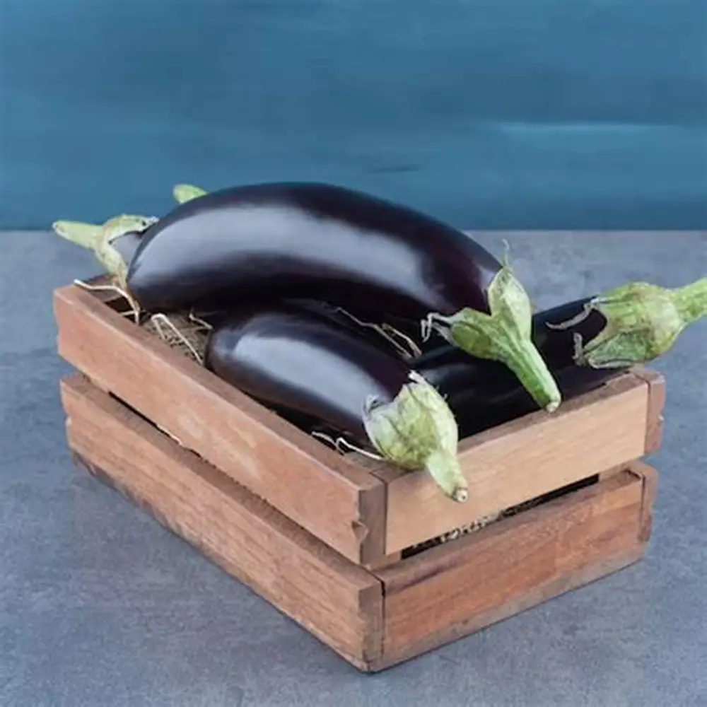 Harvest Direct Organic Fresh Fresh Eggplant - Large (1kg)