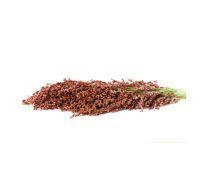 Harvest Direct Grade A Organic Whole Sorghum - Extra Large (2kg)