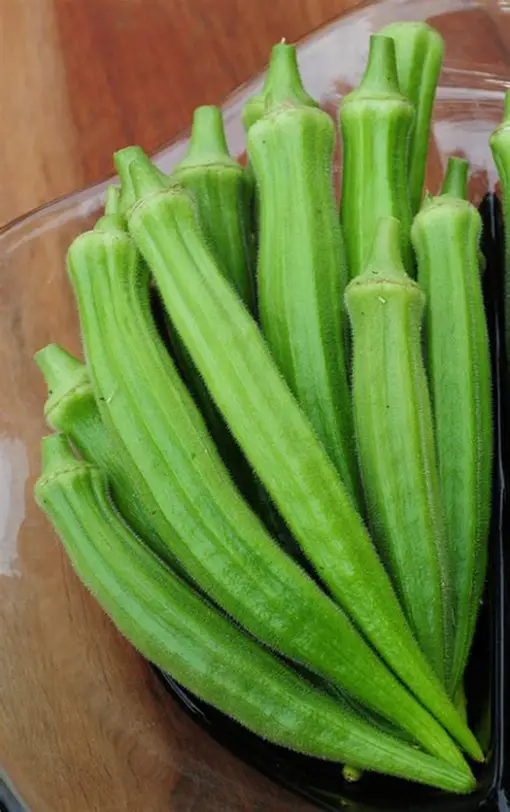 Harvest Direct Grade A Dried Fresh Okra - Medium (500g)