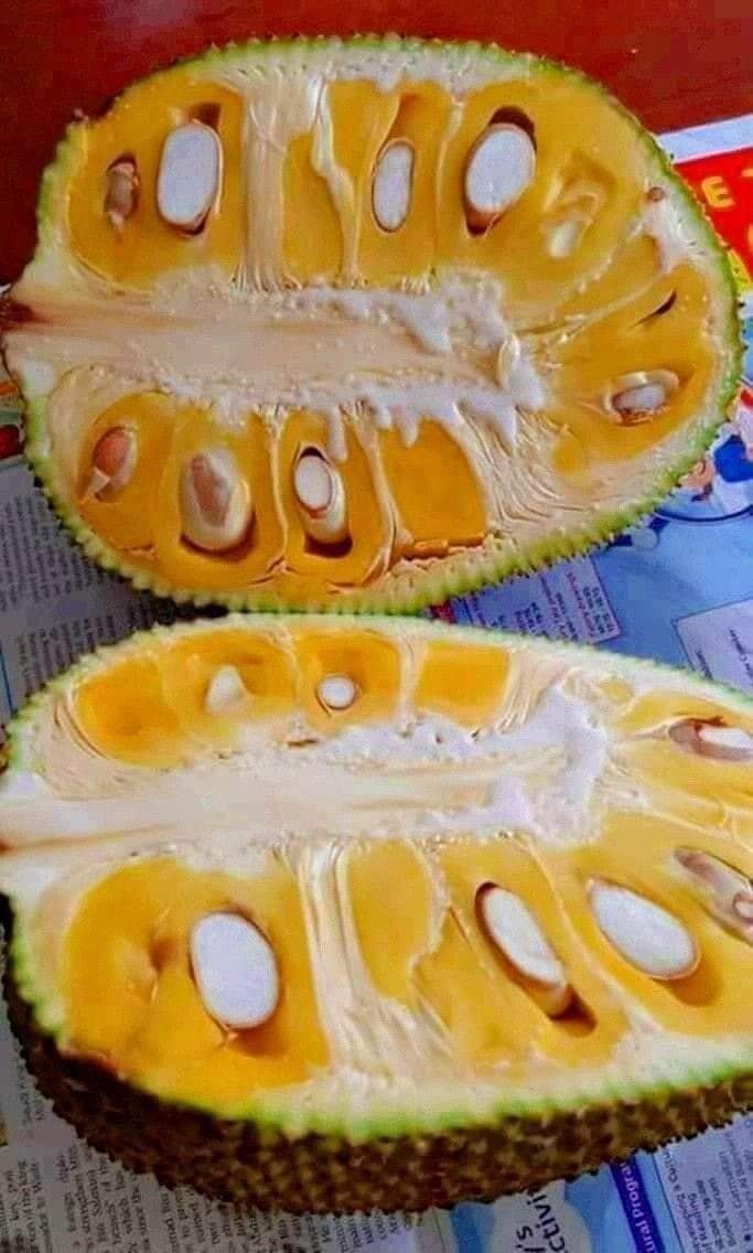 Organic Valley Organic Premium Dried Fresh Jackfruit - Extra Large (2kg)