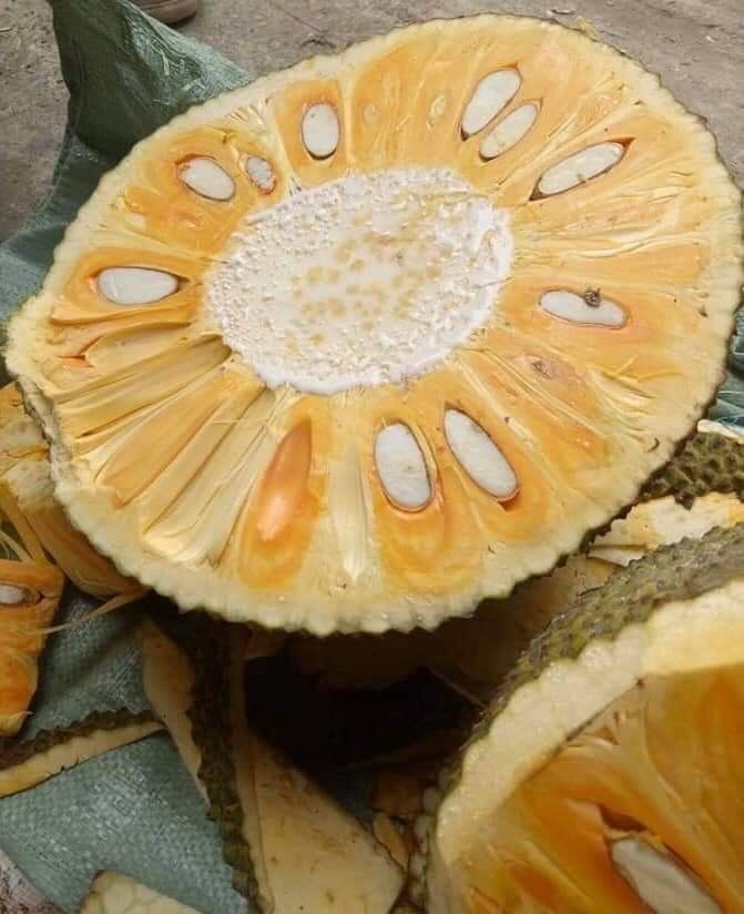 Farm Fresh Organic Fresh Fresh Jackfruit - Medium (500g)
