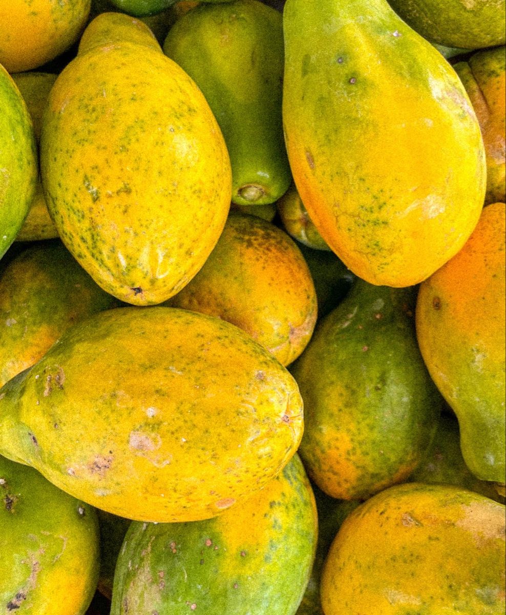 Farm Fresh Grade B Premium Fresh Red Pawpaw - Large (2kg) - Box