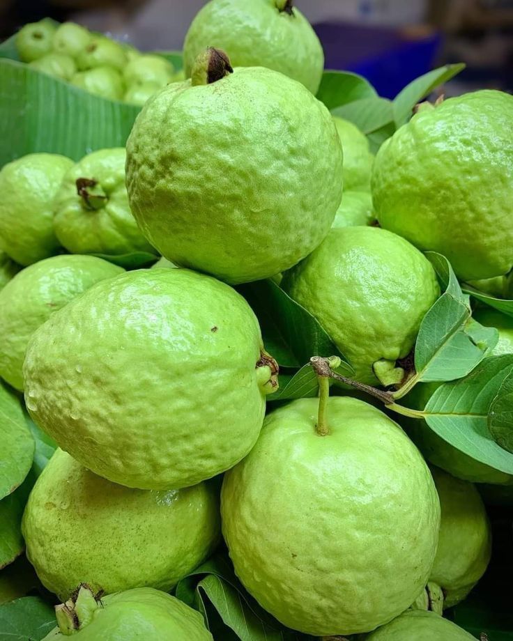 FarmMaster Grade B Fresh Fresh Guava - Extra Large (2kg)