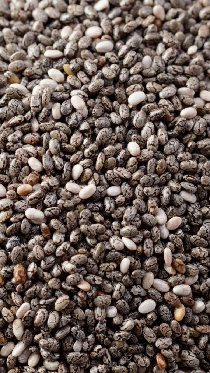 SeedMaster Grade A Premium Dried Raw Chia Seeds - Extra Large (2kg)