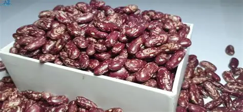 Natural Legumes Grade A Premium Organic Red Beans - Extra Large (5kg) - Box