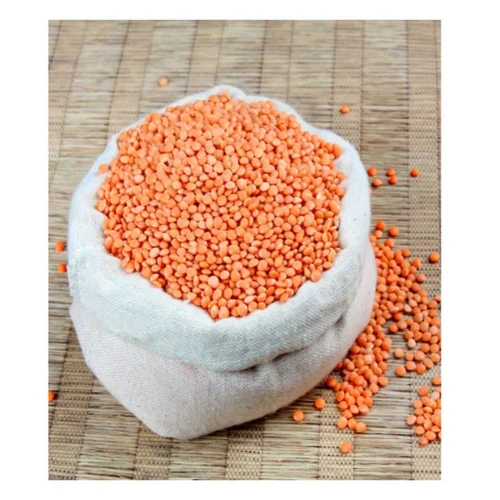 Premium Produce Organic Premium Farm Fresh Red Lentils - Small (250g)
